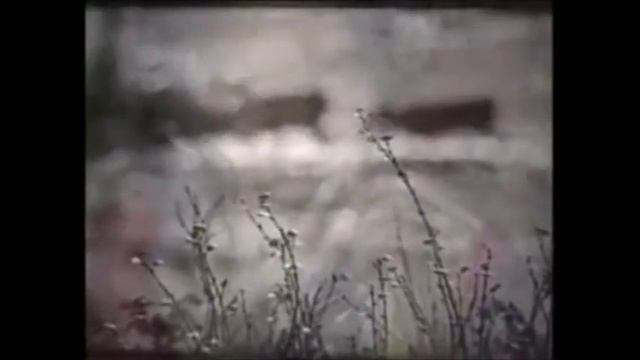 Шаманский хомус смотреть онлайн