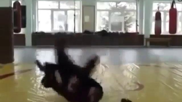 Очень суровый прием потерял носки смотреть онлайн