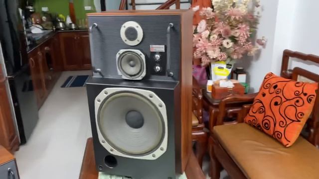 Báo Giá Toàn Hàng Hót , Loa Khủng Klipsch Heresy 2 , Sansui X8000, realistic Mach One , MCS 8330… смотреть онлайн