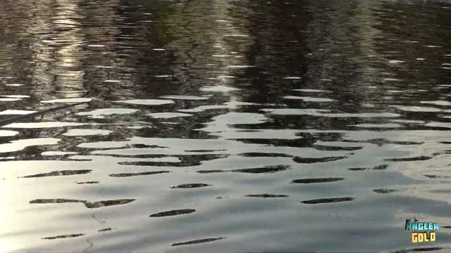 ловля маховым удилищем. удилище 7 метров. уклейка. плотва. окунь. ЧАСТЬ 2 смотреть онлайн