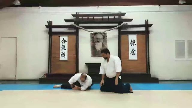 Айкидо. Marenkov Andrei, 6 Dan Aikido Aikikai смотреть онлайн