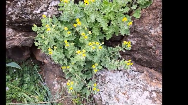 Мой дневник 23 02 2023 Водопад Саар смотреть онлайн