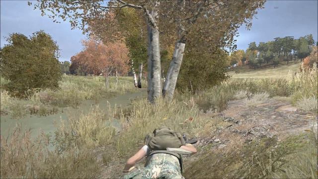 DayZ Standalone #24