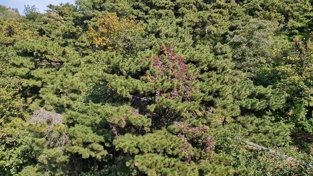 Поднимаюсь в кабинке подъемника к Великой Китайской стене. смотреть онлайн