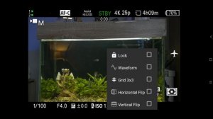 Накамерный монитор за копейки / Next_camera - лучшее приложения для карт видео захвата.