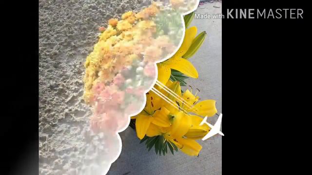 Pretty Elpaso Flowers смотреть онлайн