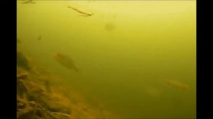 Камера в заброс