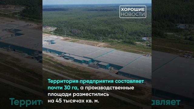 В Вологодской области открыт крупнейший в России фанерный завод смотреть онлайн