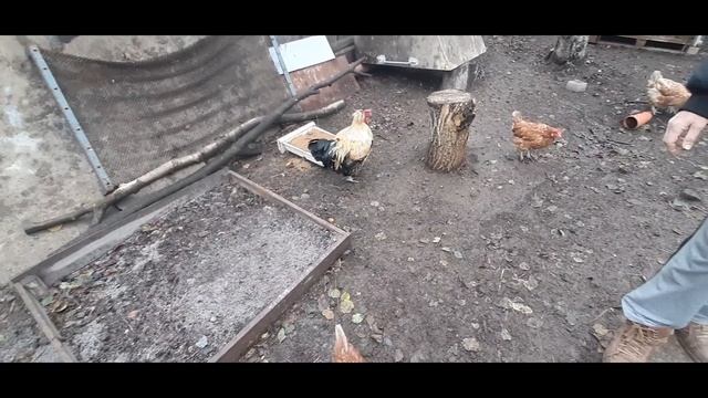 Теплые технологии для современного дома