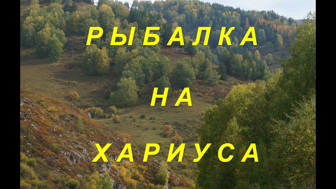 РЫБАЛКА НА ХАРИУСА смотреть онлайн