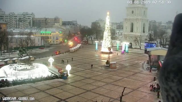 Голуби встречают Новый Год 2019! смотреть онлайн