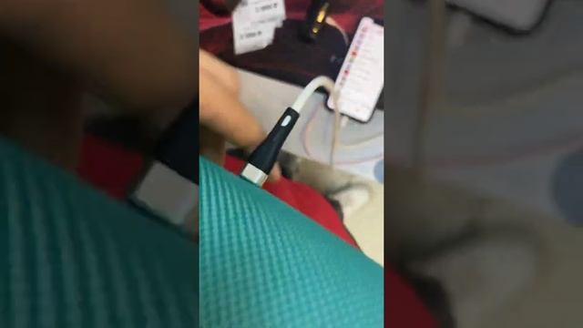 JBL Charge 5 смотреть онлайн