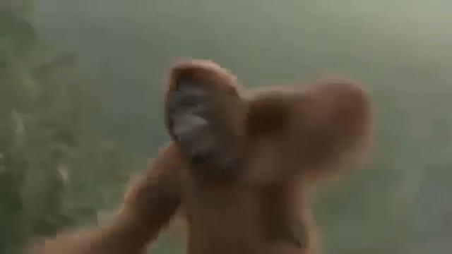 Обезьяна танцует под песню ржака посмотрите смотреть онлайн