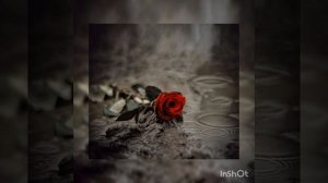 Мёртвые розы 🌷Green Apelsi
