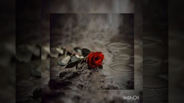 Мёртвые розы 🌷Green Apelsi