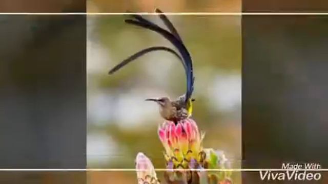 Forget Your Past || Hindi Motivational stoty || Must Watch || смотреть онлайн