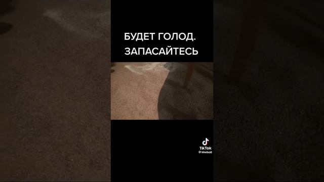 С канала Чудеса святого отрока Вятчеслава смотреть онлайн