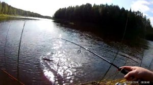 ижма 25 08 18 Рыбалка вблизи г. Сосногорск