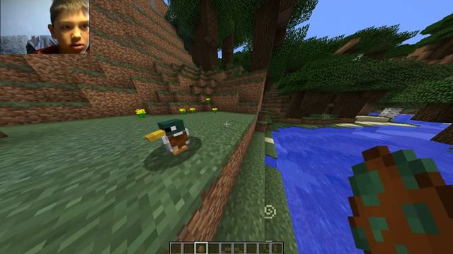 Обзор модов. Мод на птиц Exoticbirds смотреть онлайн