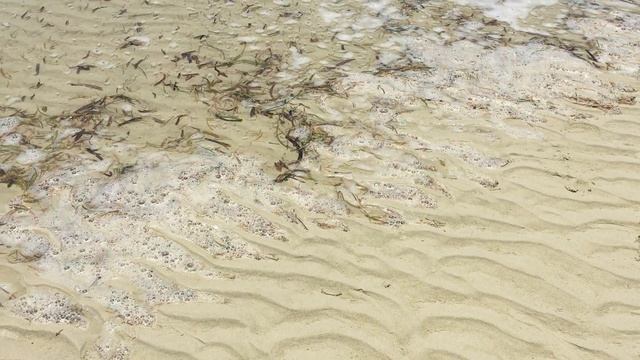 Прилив в индийском океане // Прилив // Занзибар смотреть онлайн