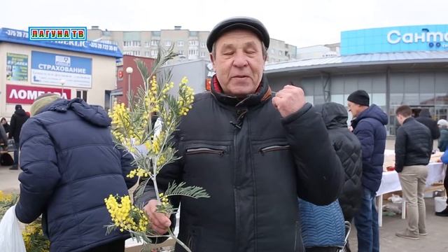 Брест цветочный: тюльпаны для прекрасных дам смотреть онлайн