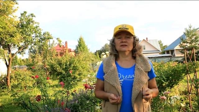 108_Чеснок. Сроки уборки смотреть онлайн