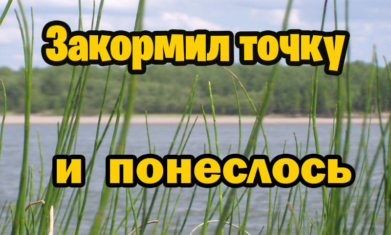 закормил точку и понеслось смотреть онлайн