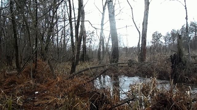 28 февраля народный праздник Онисимов день. Именинники дня. Что нельзя делать. Народные приметы. смотреть онлайн