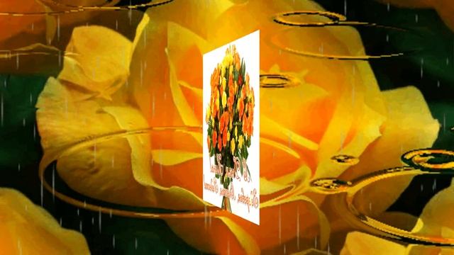 С днём рождения Ниночка исп . Ирина Грибулина смотреть онлайн