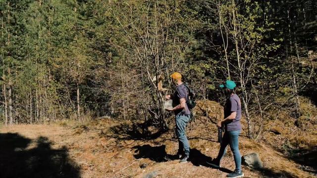 Прошагай город смотреть онлайн