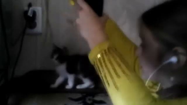 Видео C веб-камеры от 14 октября 2014 г., 23:03 (PDT)