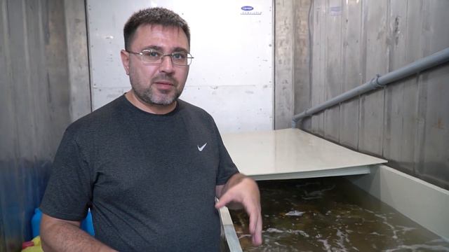 Насыщение воды кислородом в передержке смотреть онлайн