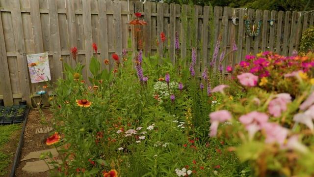 Canon EOS R6 Macro Video | 4K C-Log 10-bit Cinematic Video смотреть онлайн