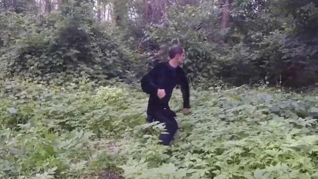 Тренировка в лесу! Хунгар! #хунгар #хунцзяцюань #ушу #кунгфу #wushu #kungfu #武术 #功夫 #洪家拳 #洪拳 смотреть онлайн