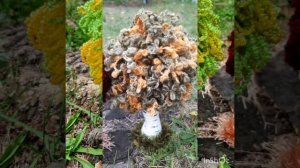 Вязаные деревья.Березка крючком.