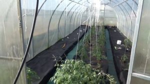 Юлия Миняева и Илья Миняев ЭТО ДОЛЖЕН ЗНАТЬ КАЖДЫЙ НАЧИНАЮЩИЙ ОГОРОДНИК! . семейные посиделки