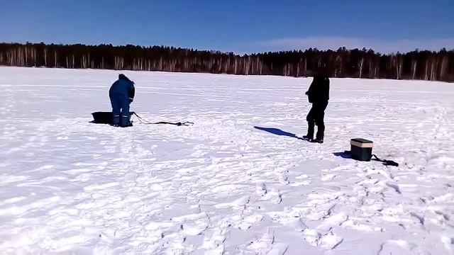 Зимняя рыбалка на белоярке. смотреть онлайн