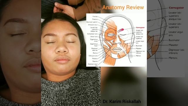 Reviewing The Anatomy of the Corrugator Supercilii смотреть онлайн