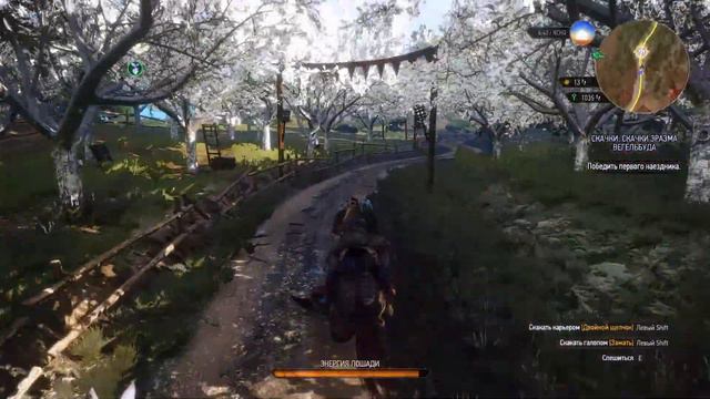 Witcher 3: Wild Hunt - # 17 " Карты, шмары и подгоревший пердак" смотреть онлайн