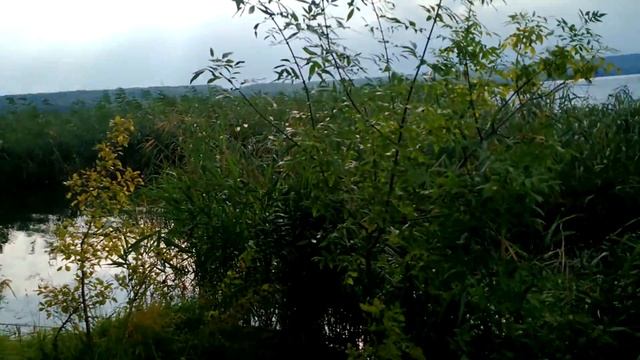 Печенежское водохранилище. На байдарке. Остров. смотреть онлайн