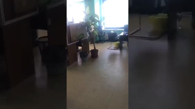 Агентство связи смотреть онлайн