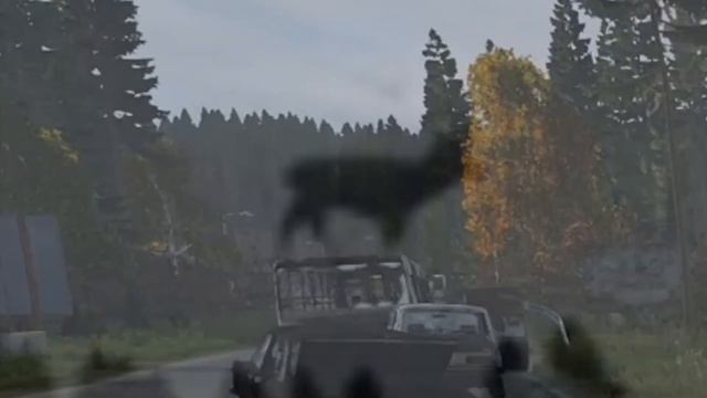 Dayz deer scary 😨 смотреть онлайн