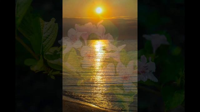 Красота. Международный День Красоты. смотреть онлайн