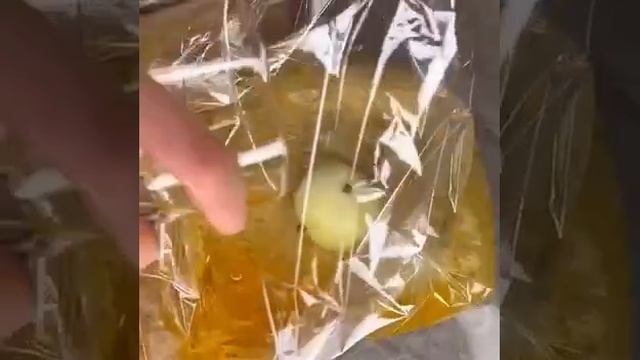 Курочка с рисом в духовке смотреть онлайн