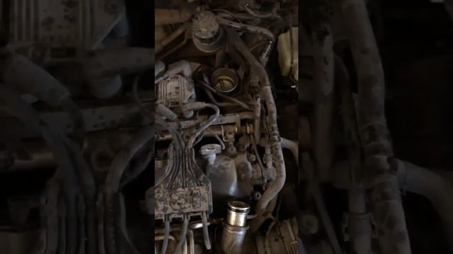 Неисправность ТНВД на Skoda Yeti в Ростове-на-Дону смотреть онлайн