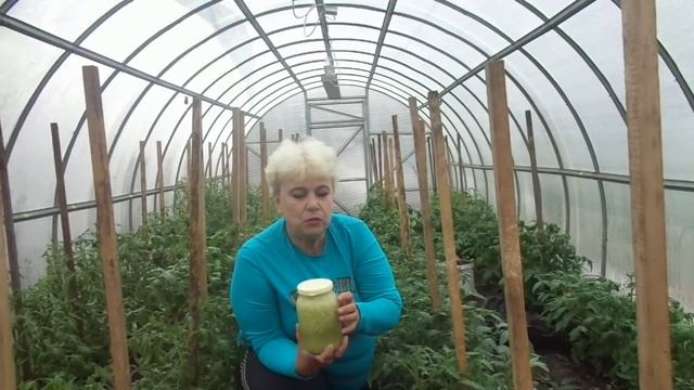 ЧЕСНОЧНОЕ ОПРЫСКИВАНИЕ ОТ БЕЛОКРЫЛКИ И ФИТОФТОРЫ. Ольга Чернова. смотреть онлайн