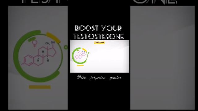 Boost Your Testosterone