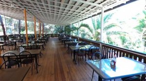 Абхазия 2020. Пицунда. Открытие границы. Обзор. Цены. Пансионат Сосновая роща.