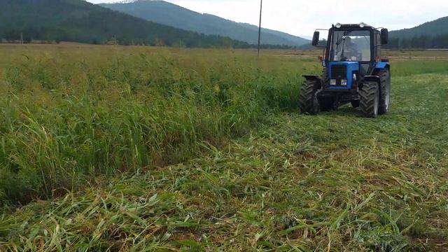Уборка суданской травы в ооо Куйтунское республика бурятия 2017 смотреть онлайн