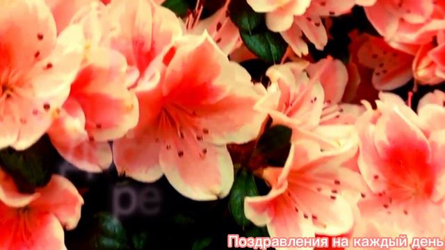 З Днем народження вітаю. Привітання з днем народження для жінок. смотреть онлайн